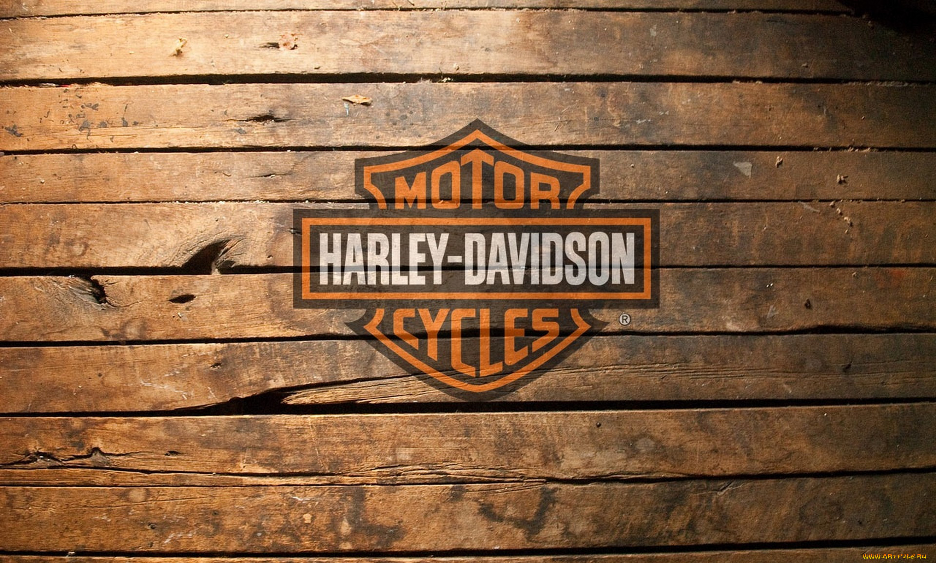 , -,  harley-davidson, harley-davidson